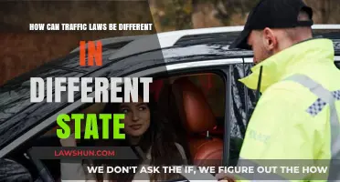 Traffic Laws: State-by-State Differences Explained