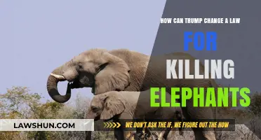 Trump's Law: Killing Elephants, Changing the Game
