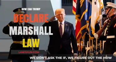 Trump's Martial Law: What's the Real Story?
