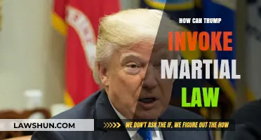 Martial Law: Trump's Power Play