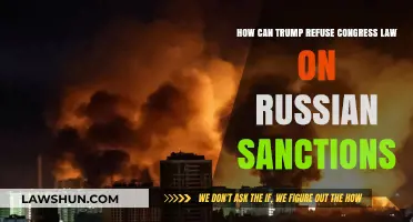 Trump's Defiance: Congress, Russia, and Sanctions
