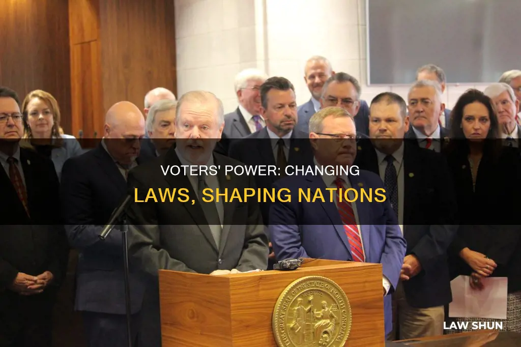 how can voters change laws