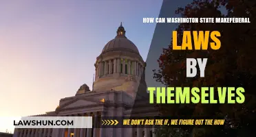 Washington State's Federal Law: Who Decides?