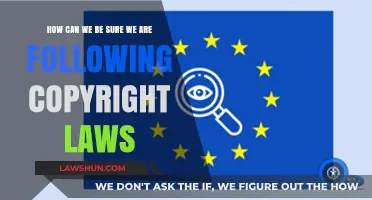 Copyright Compliance: Ensuring You Follow the Law