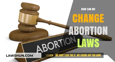 Changing Abortion Laws: A Guide to Action and Advocacy
