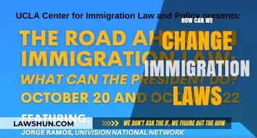 Changing Immigration Laws: Strategies for Reform and Progress
