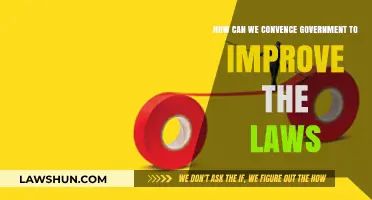 Persuading Governments: Strategies for Law Reform