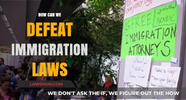 Fight Immigration Laws: Strategies for Success