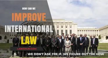 Enhancing Global Justice: Reforming International Law