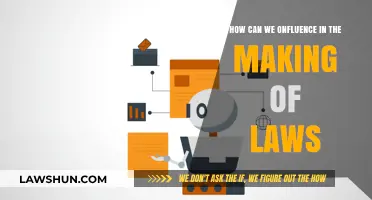Influencing Lawmaking: Strategies for Impact