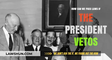 Overriding Presidential Vetoes: A Legislative Guide