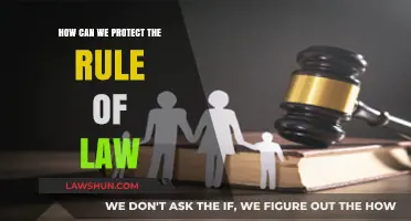 Protecting the Rule of Law: Our Shared Responsibility