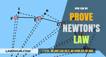 Newton's Laws: Proving the Fundamentals of Physics