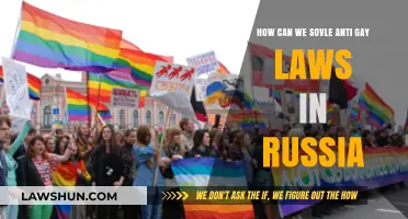 Russia's Anti-Gay Laws: Strategies for Change