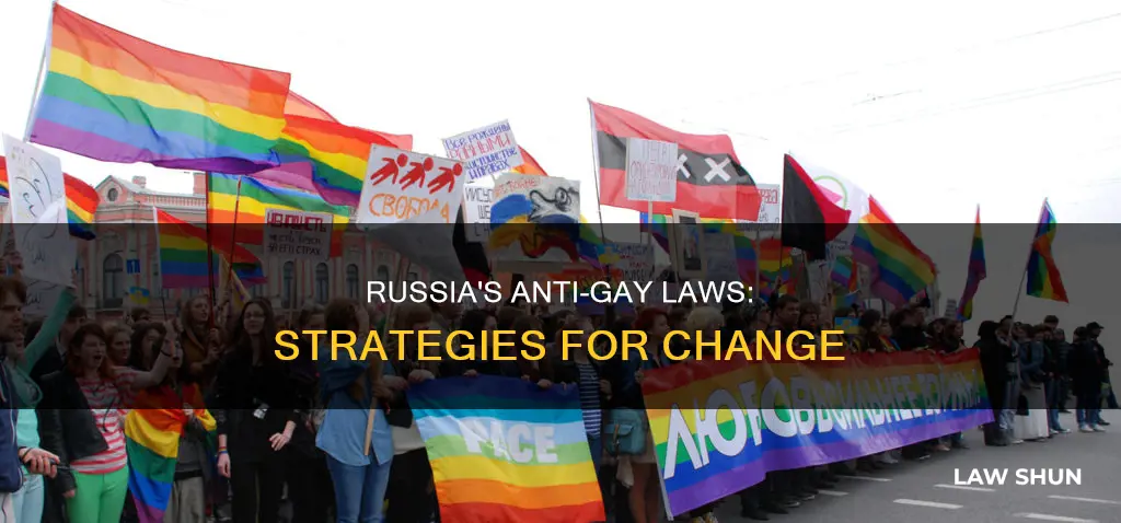 how can we sovle anti gay laws in russia