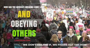 When to Break the Law: A Guide to Civil Disobedience