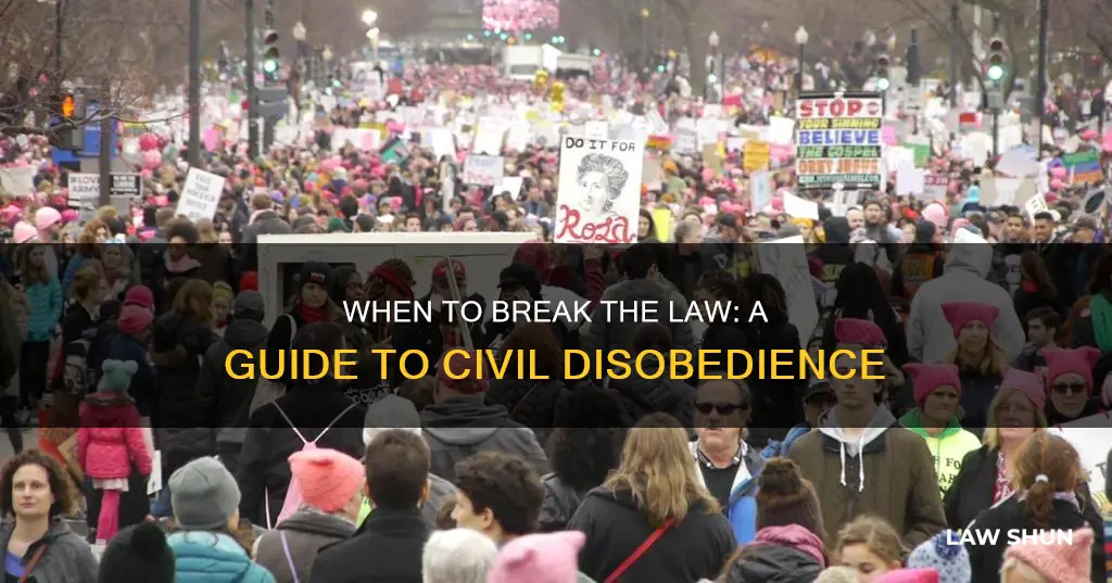 how can you advocate breaking some laws and obeying others