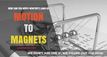 Magnets in Motion: Newton's Laws Applied