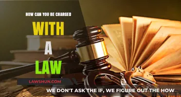 Understanding Legal Charges: Navigating the Law's Complexities
