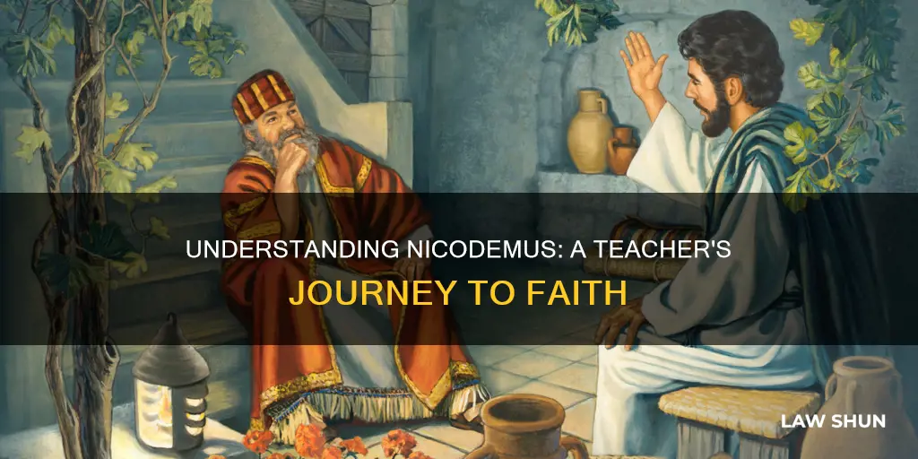 how can you being a teacher of the law nicodemus