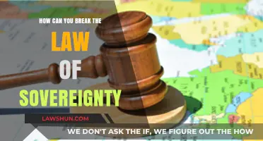 Breaking Sovereignty: Strategies for Challenging National Authority