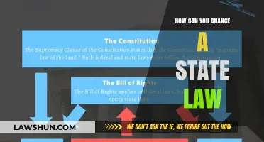 Amending State Laws: A Guide to Navigating the Process