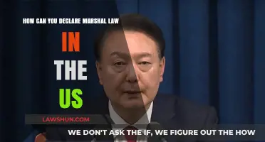 Martial Law: Who Can Declare and When?