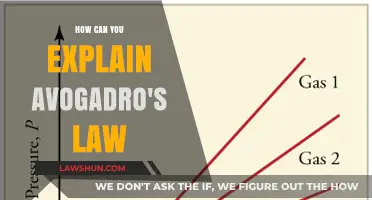 Understanding Avogadro's Law: Equal Volumes, Equal Molecules