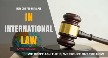 International Law Careers: Getting Started