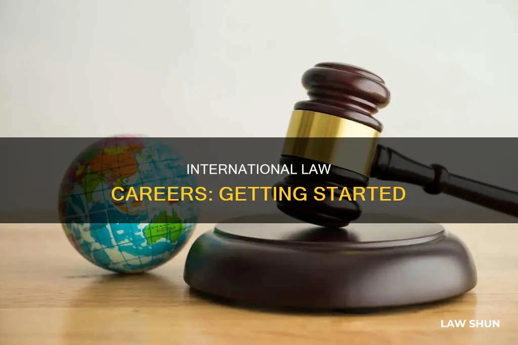 how can you get a job in international law
