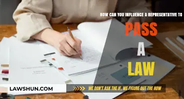 Influencing Power: Passing Laws with Representatives
