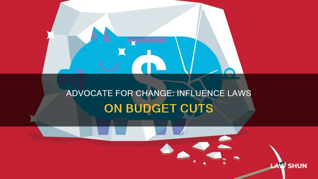 how can you influence laws on budget cuts
