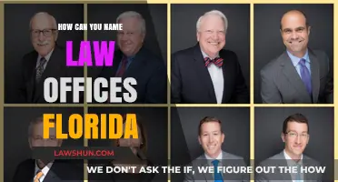 Strategies for Naming Your Law Office in Florida
