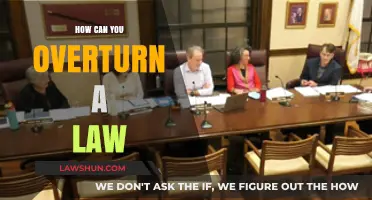 Challenging Laws: Strategies for Overturning Unjust Legislation