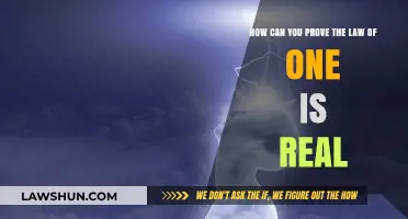 The Law of One: Exploring Its Reality