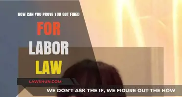 Fired Unfairly? Proving Your Case with Labor Laws