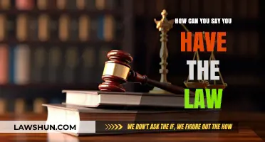 The Law: Understanding Your Rights and Responsibilities