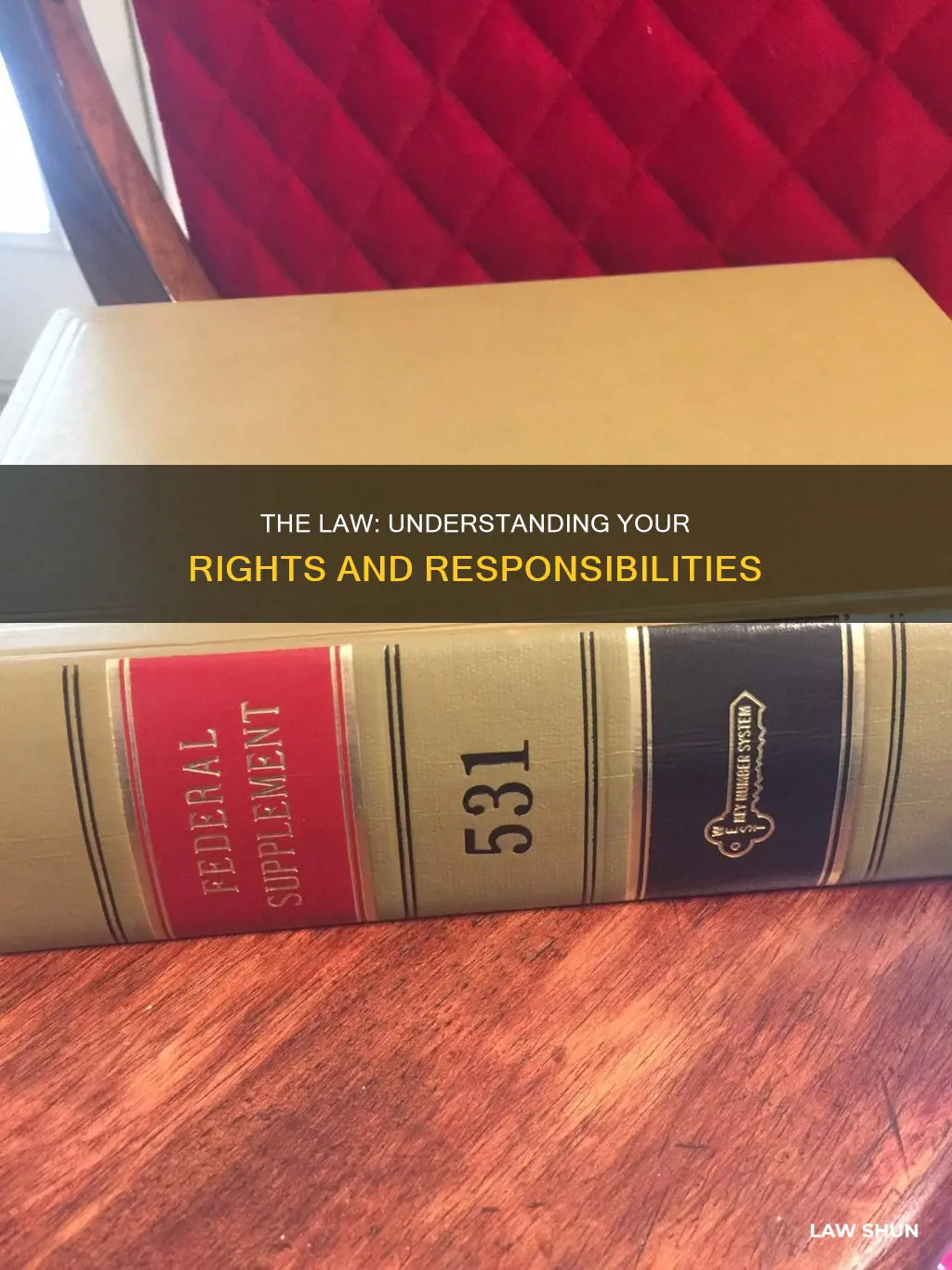how can you say you have the law