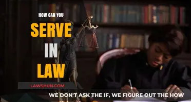 Serve in Law: A Career Guide