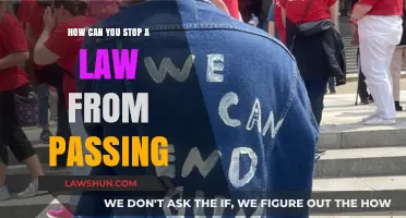 Preventing Laws: Strategies for Blocking Unwanted Legislation