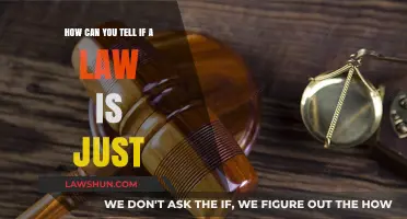 What Makes a Law Just?
