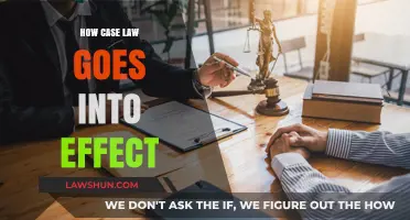 Case Law: How It Comes to Be