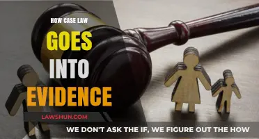 Case Law: Evidence and Application