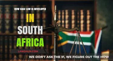 South Africa's Case Law Evolution