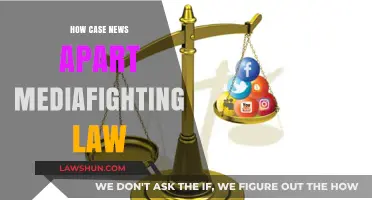 Media Wars: Lawsuits and the News