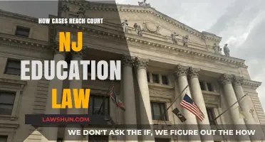 Understanding the Route to Court for NJ Education Law