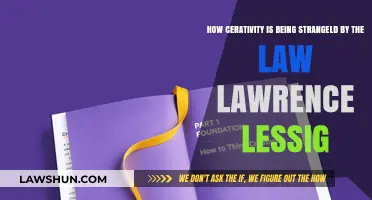 How Creativity Suffers Under Legal Constraints: Lawrence Lessig's Perspective