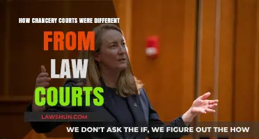 Chancery Courts: Equity vs Common Law