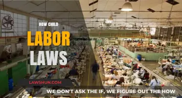 Understanding Child Labor Laws: Protecting Young Workers' Rights and Future