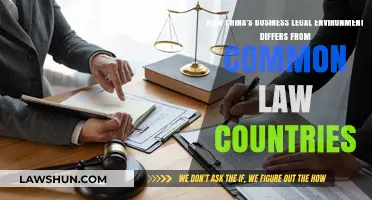 Business Law: China vs Common Law